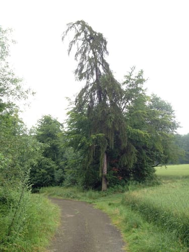 Vogtei-Rundwanderweg