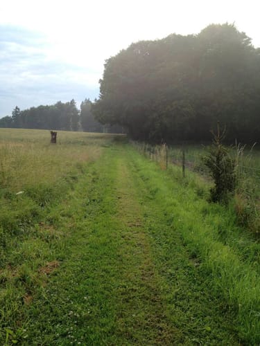 Vogtei-Rundwanderweg
