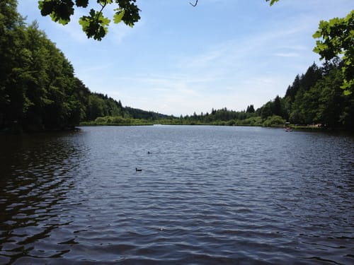 7-Weiher-Tour