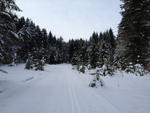 Loipe und Rundweg Dietramszell