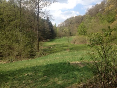 Wildwiesenweg - Erlebnisweg Sieg