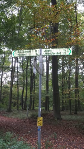 Langener Waldsee und Walldorfer Badesee ab Langen