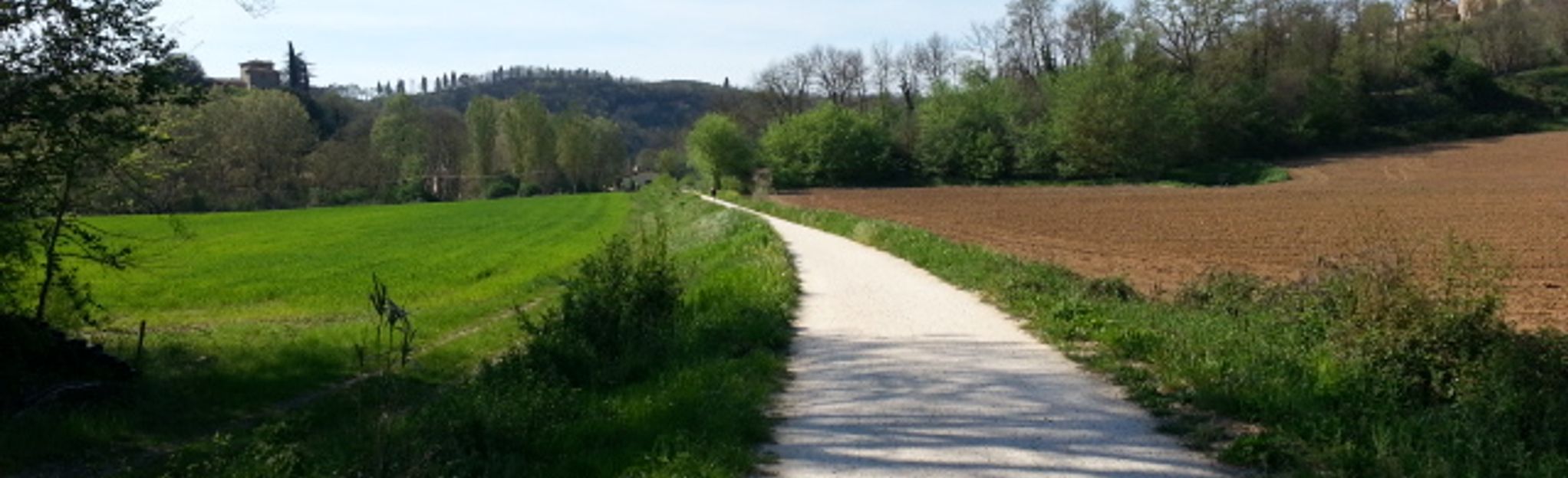 AllTrails | Colle Di Val D'Elsa - Poggibonsi (Disused Railway): 9 ...