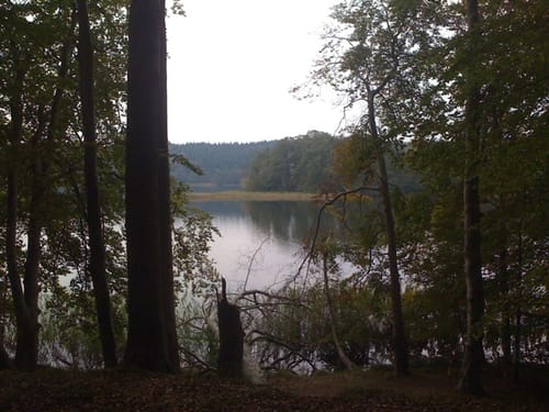 Fontaneweg: Rund um den Tornowsee