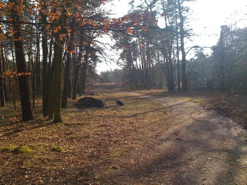 Jagdschloss bei Stern