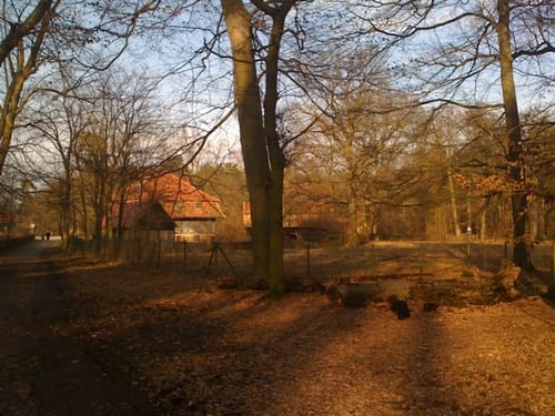 Jagdschloss bei Stern