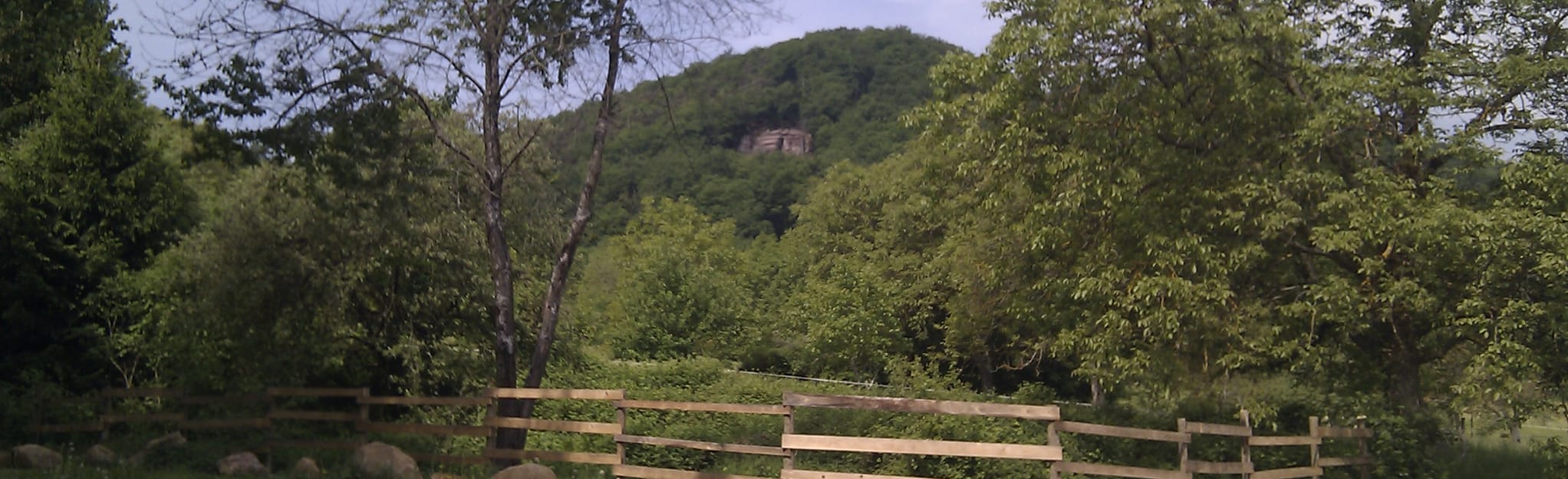 Orschwihr - Le Val du Pâtre, Haut-Rhin, France - 2 Reviews, Map | AllTrails