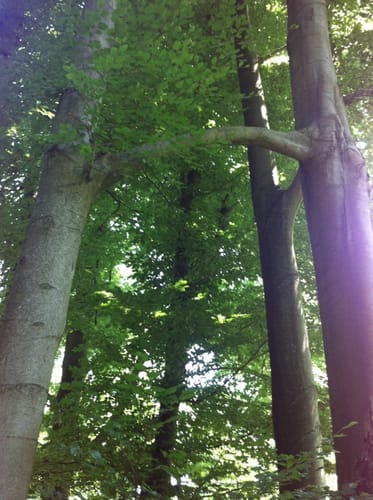 Weltersbachtal Rundweg A2
