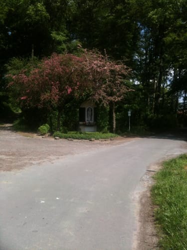 Netteberge Rundweg A2