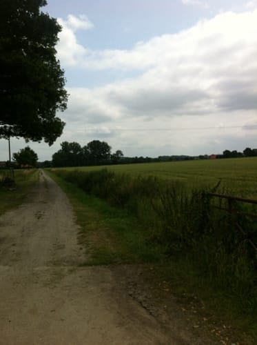 Darfeld Wabe 62