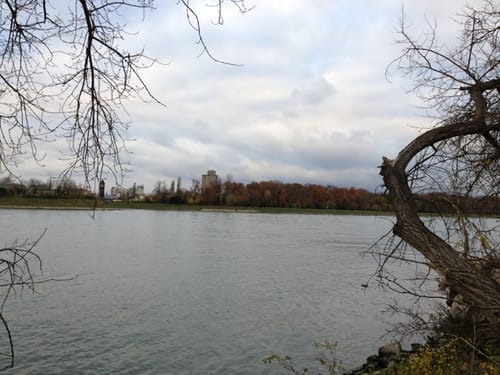 Rund um die Reißinsel