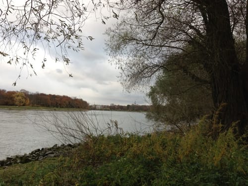 Rund um die Reißinsel