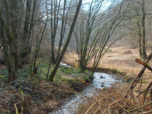 Natursteig Sieg Etappe 5: Eitorf - Herchen