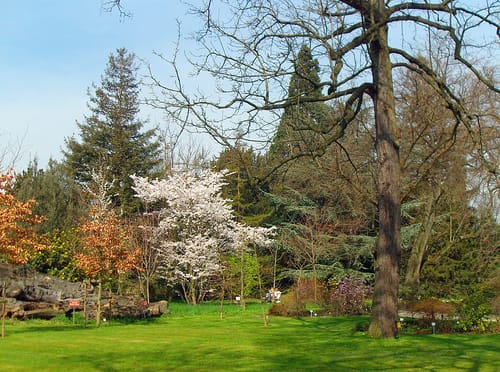 Hofgarten und Botanischer Garten Bonn