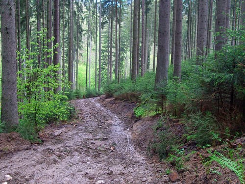 Natursteig Sieg Etappe 4: Merten bis Eitorf