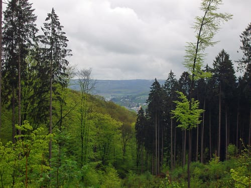 Natursteig Sieg Etappe 4: Merten bis Eitorf