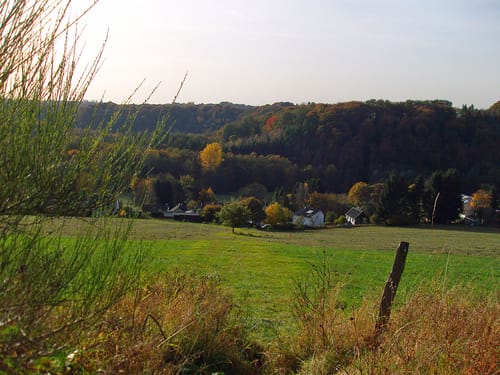 Erlebniswege Sieg: Der Holzweg