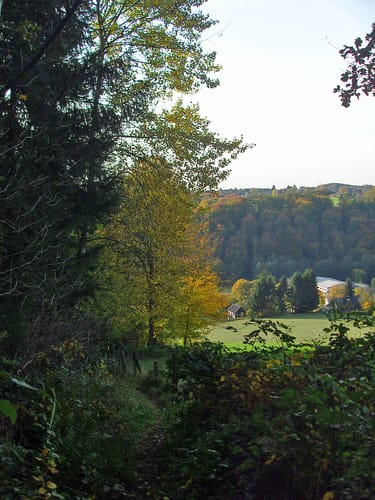 Erlebniswege Sieg: Der Holzweg