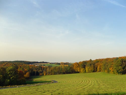 Erlebniswege Sieg: Der Holzweg