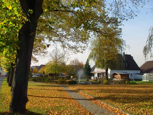 Von Winterscheid nach Driesch entlang der Römerstraße