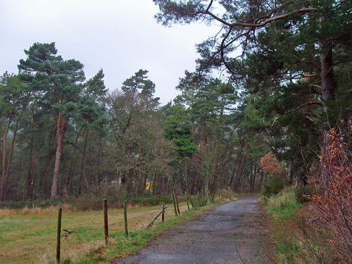 Katzvey - Altusknipp (Griesberg) - Katzensteine