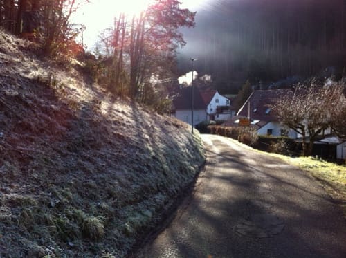 Rund um Lambrecht
