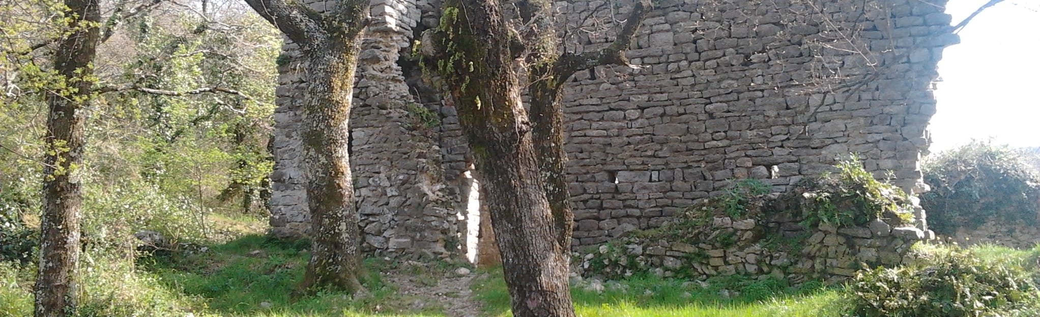 Monte Branzi Menhir di Monte Caprione 18 foto Liguria, Italia
