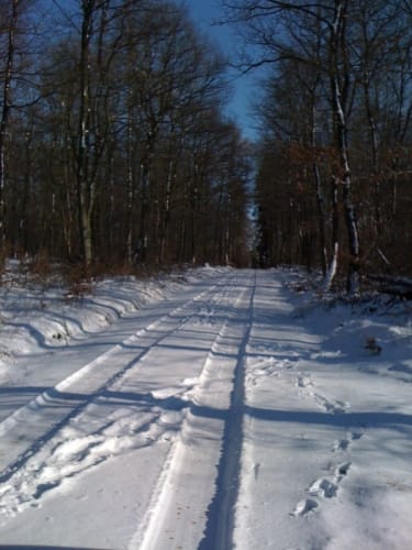 Rund um Sponheim