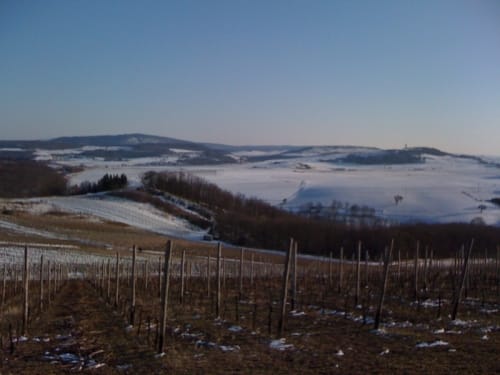 Rund um Sponheim