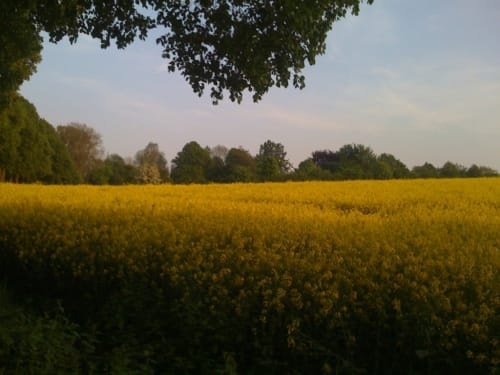 Radtour: Steinfurt-Horstmar-Burgsteinfurt