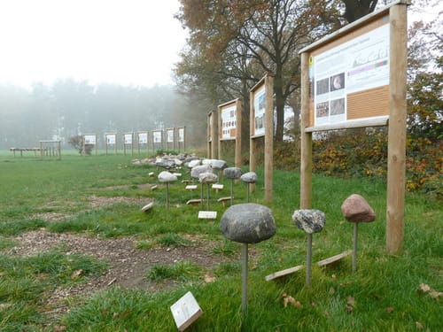 Von Rosenzucht und Baumschulen