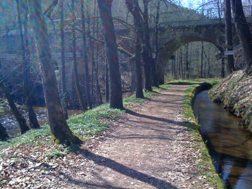 Bad Schlema - Hundshübel - Blauenthal - Schneeberg