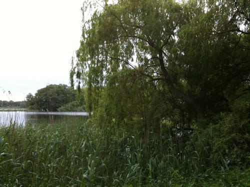 Bordesholmer See Rundweg