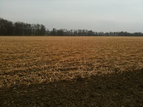 Erding - Neukirchen
