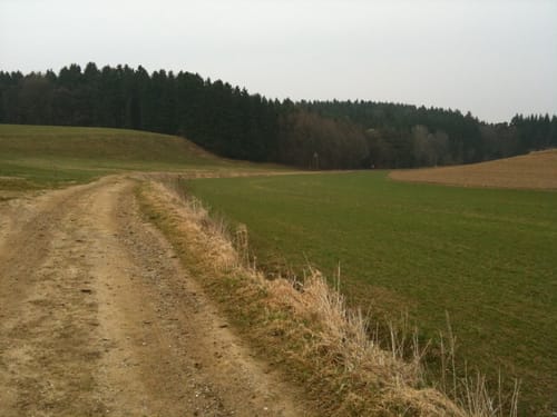 Friedberg - Harthausen