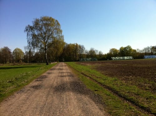 Durch die Feldmark bei Stelingen