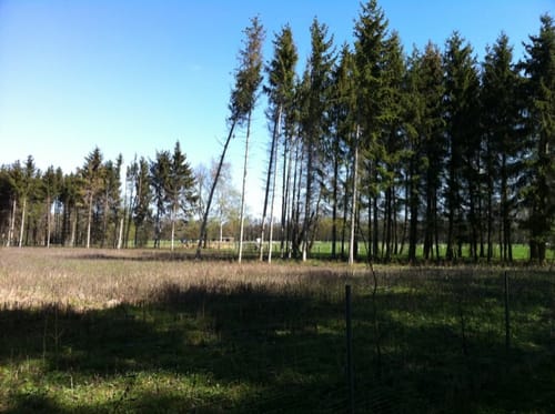 Durch die Feldmark bei Stelingen