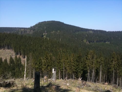 Rennsteig Etappe 5: Allzunah -Friedrichshöhe