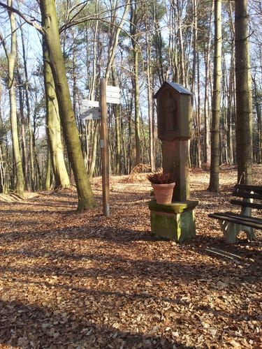 Ebersbach und Hohe Wart ab Leidersbach