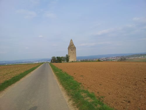 Rundwanderweg Pflaumheim 1: Wartturm-Weg