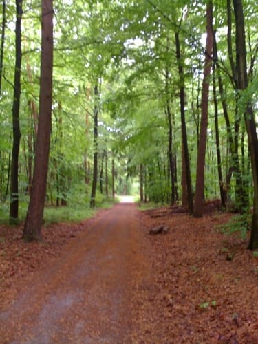 Radrundweg Dreieich