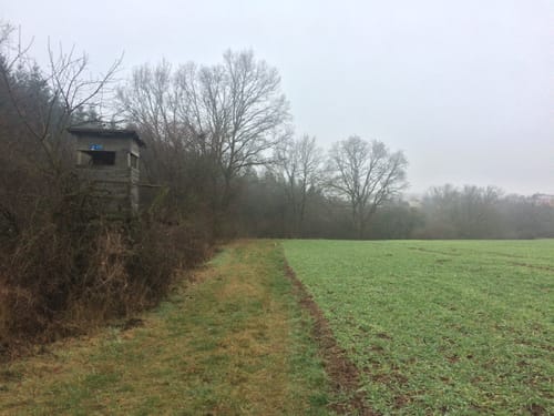 Rund um Wilhermsdorf