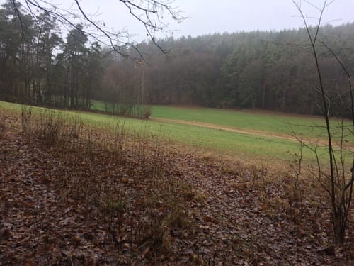 Rund um Wilhermsdorf