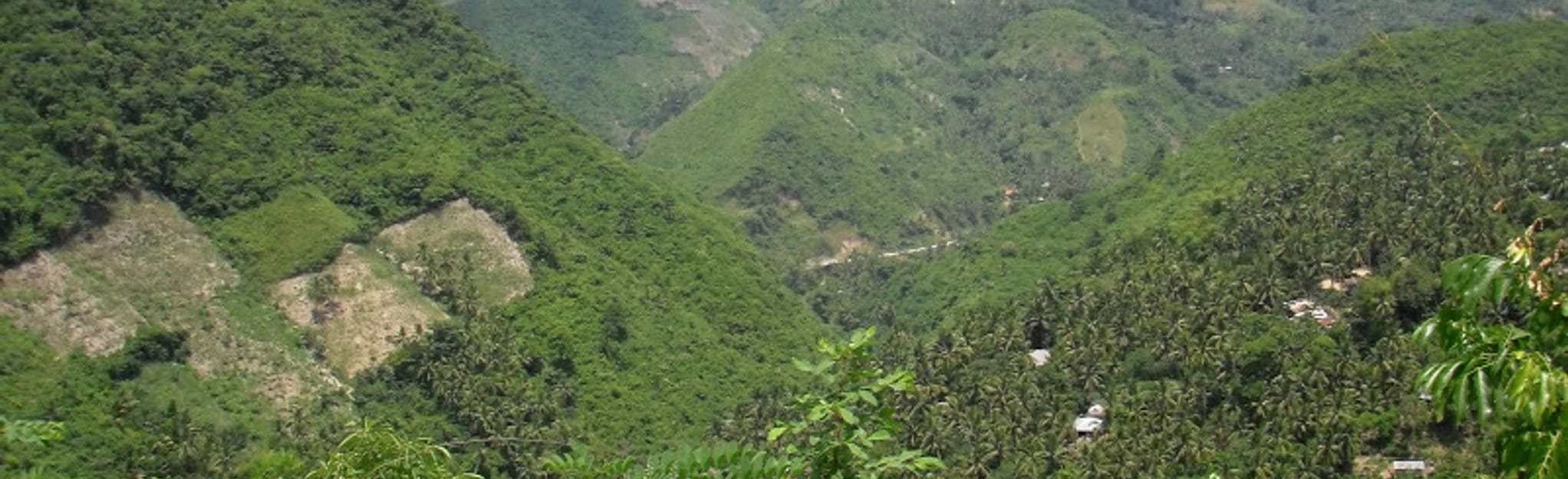 AllTrails Minglanilla Trail Run 0 Reviews, Map Cebu, Philippines