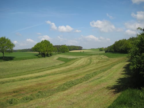 Bürglein