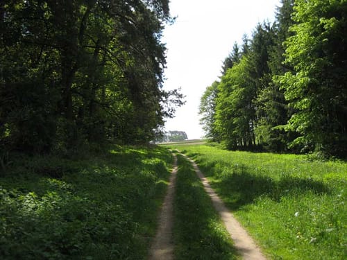 Bürglein