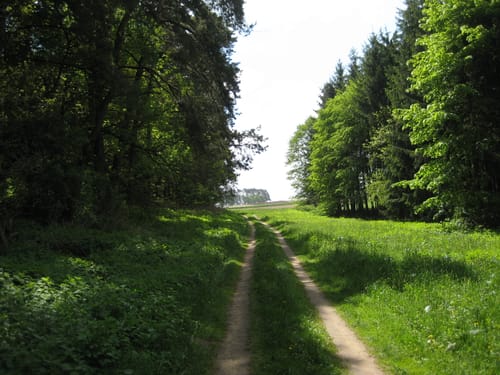 Heilsbronner Rundweg 2