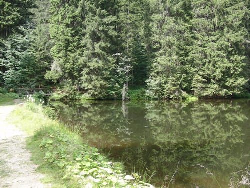 Falkenstein Runde