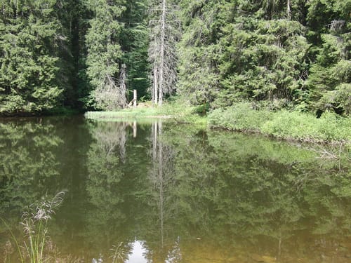 Höllbachgspreng - Falkenstein - Runde