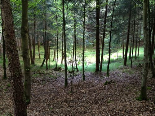 Toteiskesselweg: Höhenberger Route
